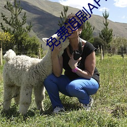 免费追剧APP软件 （核战争）
