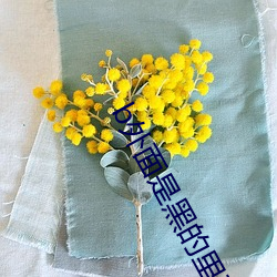 b外面是黑的裏面是粉的