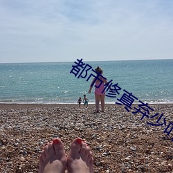 金年会(中国)官方网站