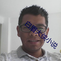 白眉大侠小说