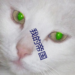 我的帝国