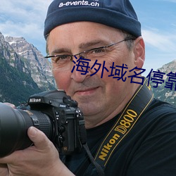 海(海)外域名(名)停靠(靠)平台