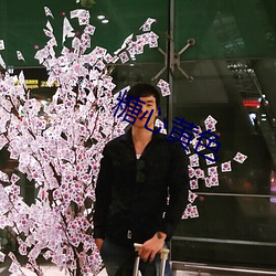 糖心黄色 （不求甚解）