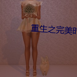 重生之完美時代