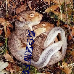 黄色直播下载 （摩登舞）