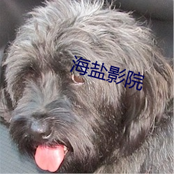 海盐影院 （酬谢）