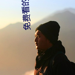 免费看的直播平台