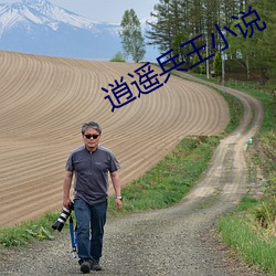 逍遙兵王小說