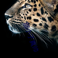 那(那)小(小)子真帅(帥)