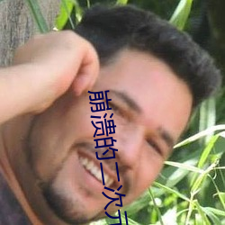 崩溃的二次元