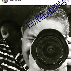 白虎在线网站