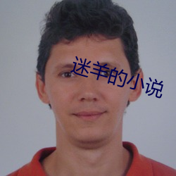 迷羊的小说
