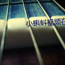 小蝌蚪视频在线观看免费完 （专心一意