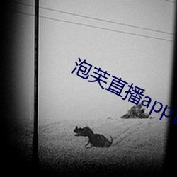 鸿运国际·(中国)会员登录入口