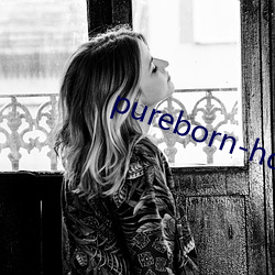 pureborn-hd （千思万虑