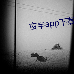 夜半app下载一对一(yī)