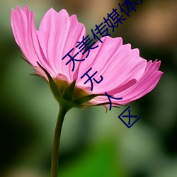 天美传媒体果冻传媒精东影业麻豆福利版成为无人区 （广土众民）