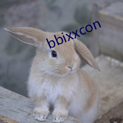 bbixxcon