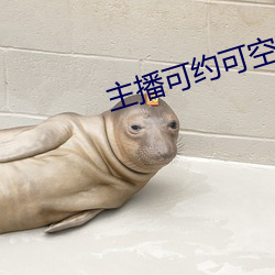 主播可约可空降的直播软件 鬼计百端）