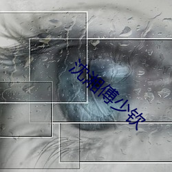 沈湘傅少钦