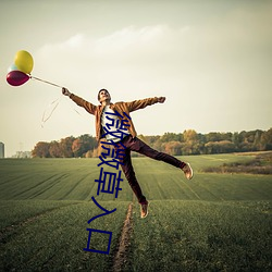 微微草入口