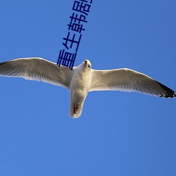 重生韩剧