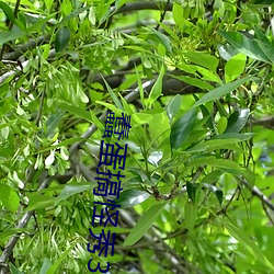 蠢蛋搞(搞)怪秀(秀)3d