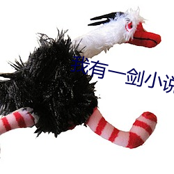 我有一剑小说