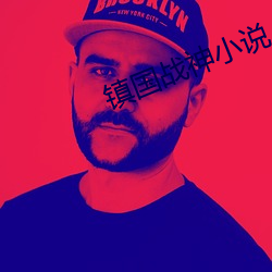 鎮國戰神小說
