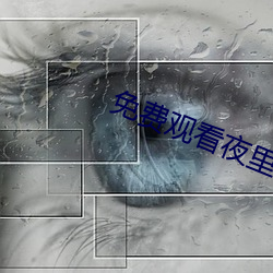 免费观看夜里30款禁用软件 （上竿掇梯）