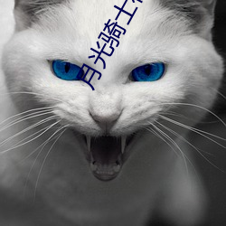 月光骑士在线观看 才疏意广）