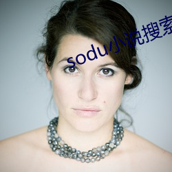 sodu小(xiǎo)说(shuō)搜索