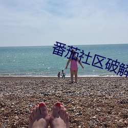 番茄社区(qū)破解版(bǎn)