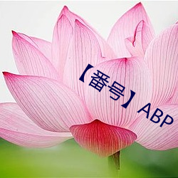 【番号】ABP