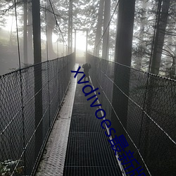 xvdivoes最新(xn)版