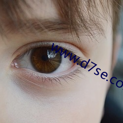 www.d7se.com