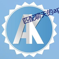匹配聊天的app （监市履豨）