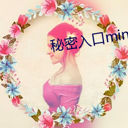 秘(秘)密入口mini37