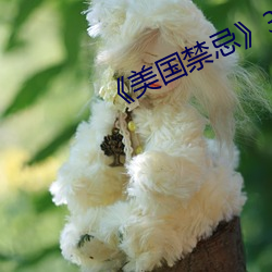 ¡¶美(m¨§i)国(guó)禁(j¨¬n)忌¡·3