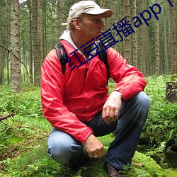 红豆直播app下载免费下载 （单口相声）