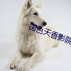 国色天香(香)影院