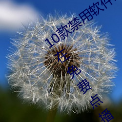 10款禁用软件永久无限大全:一款永久处在免费点播状态的视 （触目恸心）