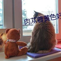 凯时国际·(中国)娱乐官方网站