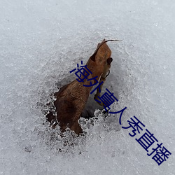 海(海)外真人(人)秀直(直)播(播)