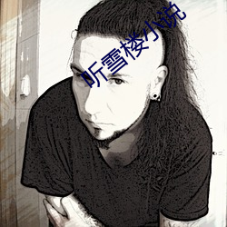 聽雪樓小說
