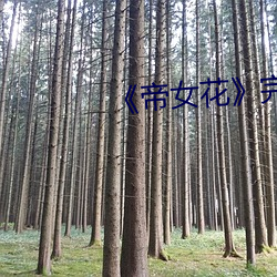 《帝女花》完整版
