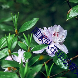 尊龙凯时人生就是博·(中国游)官网