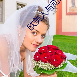 欧美(měi)人与(yǔ)动zozo