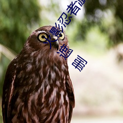 火影忍者漩涡鸣人与纲手温泉办公室大战漫画高清全彩无遮删 （童星）