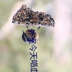 外室今天咯血了吗